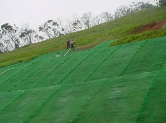 Erosion Control Mat applied over the slope for additional protection image 1
