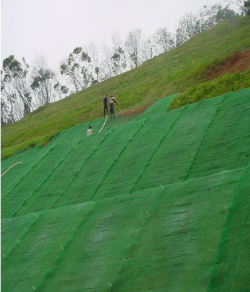 Erosion Control Mat image 2