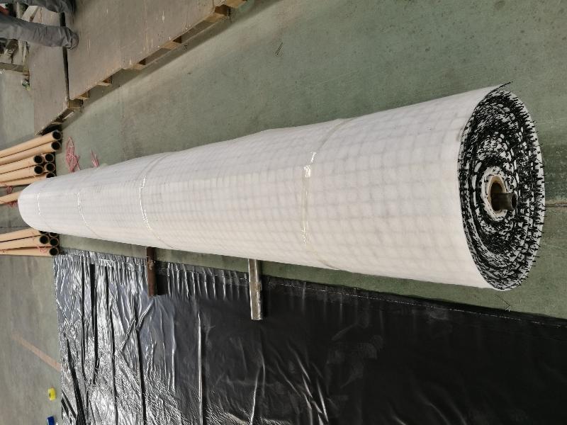 Geocomposite Drainage image 2