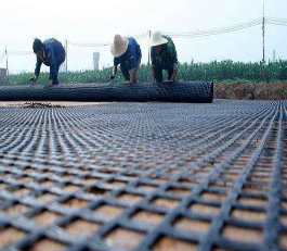 Polyester Geogrid image 3