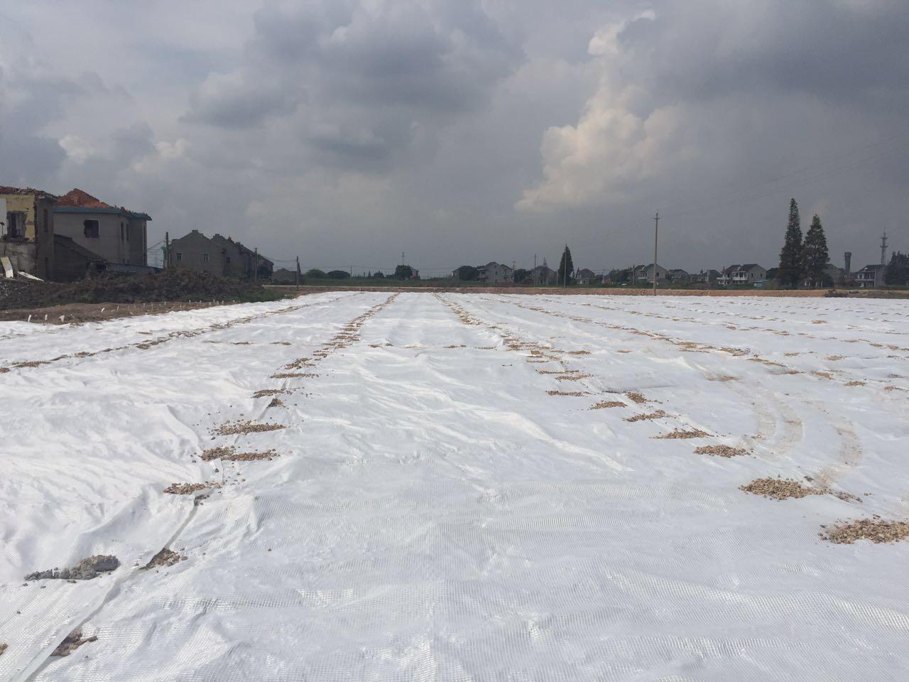 Nonwoven geotextile installed above the geomembrane. image 1